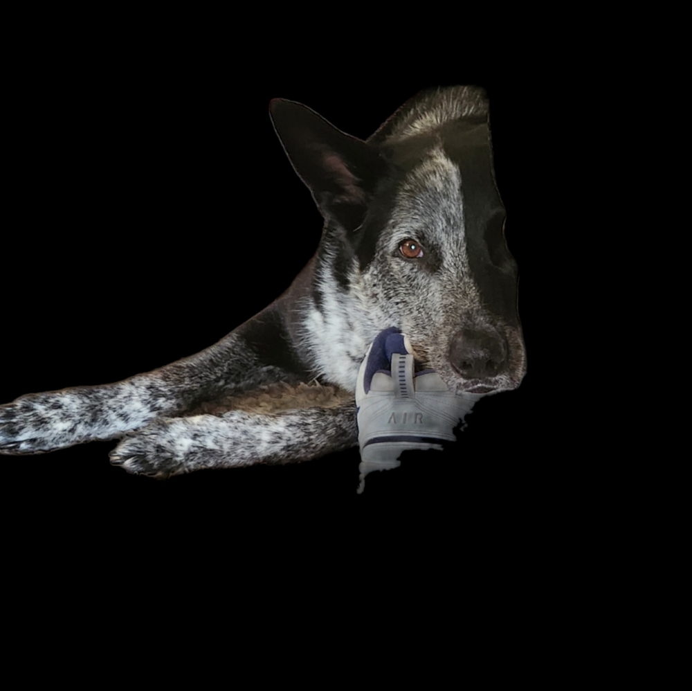 Meet your Posher, Michele